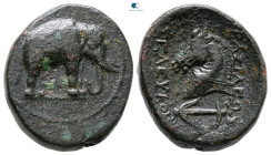 Seleukid Kingdom. Apameia on the Axios. Seleukos I Nikator 312-281 BC. Bronze Æ