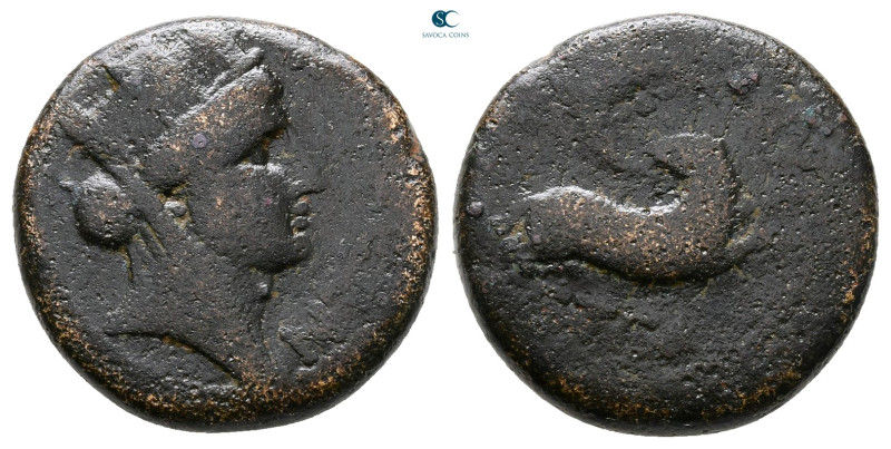 Seleucis and Pieria. Antioch. Pseudo-autonomous issue AD 54-68. 
Bronze Æ

18...