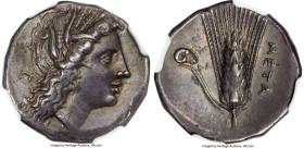 LUCANIA. Metapontum. Ca. 330-280 BC. AR stater (21mm, 7.82 gm, 1h). NGC Choice XF S 4/5 - 4/5, Fine Style. Head of Demeter right, wreathed with grain ...