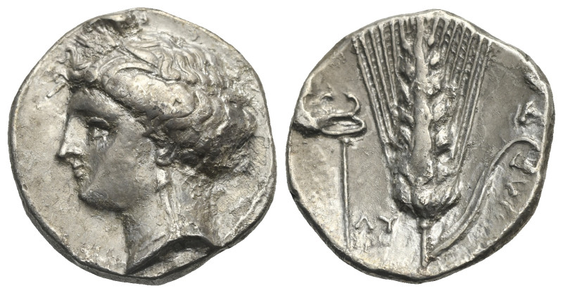 LUCANIA. Metapontion. Circa 340-330 BC. Stater (Silver, 20.93 mm, 7.74 g), LY ma...