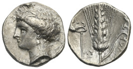 LUCANIA. Metapontion. Circa 340-330 BC. Stater (Silver, 20.93 mm, 7.74 g), LY magistrate. Head of Demeter left, wearing grain ear wreath, triple-penda...