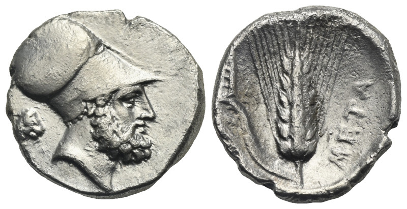 LUCANIA. Metapontion. Circa 340-330 BC. Stater (Silver, 21.67 mm, 7.86 g). Head ...
