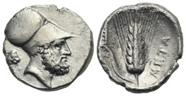 LUCANIA. Metapontion. Circa 340-330 BC. Stater (Silver, 21.67 mm, 7.86 g). Head of Leukippos right, wearing Corinthian helmet; to left, lion head righ...