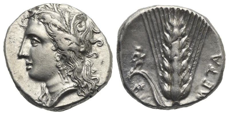 LUCANIA. Metapontion. Circa 330-290 BC. Stater (Silver, 19.41 mm, 7.95 g), LY ma...