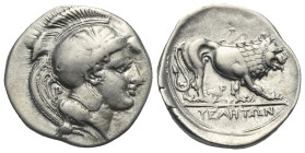 LUCANIA. Velia. Circa 340-334 BC. Stater (Silver, 23.31 mm, 7.46 g). Head of Athena to right, wearing crested Attic helmet decorated with griffin; pel...