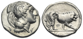 LUCANIA. Velia. Circa 340-334 BC. Stater (Silver, 23.31 mm, 7.46 g). Head of Athena to right, wearing crested Attic helmet decorated with griffin; dol...