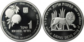 Weltmünzen und Medaillen, Israel. Wildleben - Löwe. 1 New Sheqel 1997, Silber. 0.43 OZ. KM 306. Stempelglanz