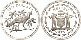 Belize 10 Dollars 1975 FM

KM# 45, N# 19724; Copper-nickel 25.85 g., Proof; Avifauna of Belize – Great Curassow; Mintage 1095 pcs.