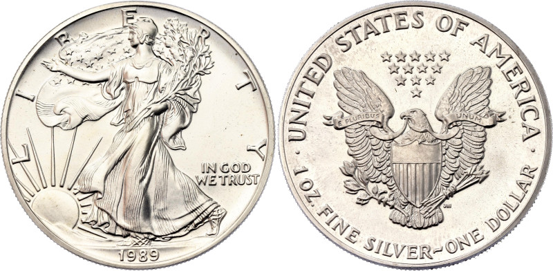 United States 1 Dollar 1989

KM# 273, N# 1493; Silver 31.10 g.; "American Silv...