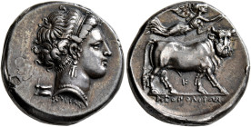 CAMPANIA. Neapolis. Circa 300-275 BC. Didrachm or Nomos (Silver, 19 mm, 7.43 g, 1 h), Charileos, magistrate. Diademed head of a nymph to right, wearin...