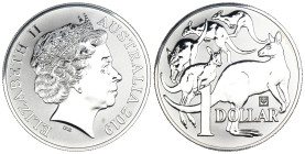 Australia - Elizabeth II (1952-2022) 1 Dollar 2019 "Kangaroo - whit panda Privy Mark of Bejing Expo" - 1 oz .oncia Ag .999 - coniati: 5000 pz.

FS
...