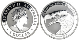 Australia - Elizabeth II (1952-2022) - 1 Dollar 2022 "Australian Wedge-Tailed Eagle" - 1 oz .oncia Ag .999 

FS

SPEDIZIONE IN TUTTO IL MONDO - WO...