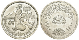 Egitto - 1 Sterlina 1980 (FAO) - Ag - KM #513

SPL

SPEDIZIONE IN TUTTO IL MONDO - WORLDWIDE SHIPPING
