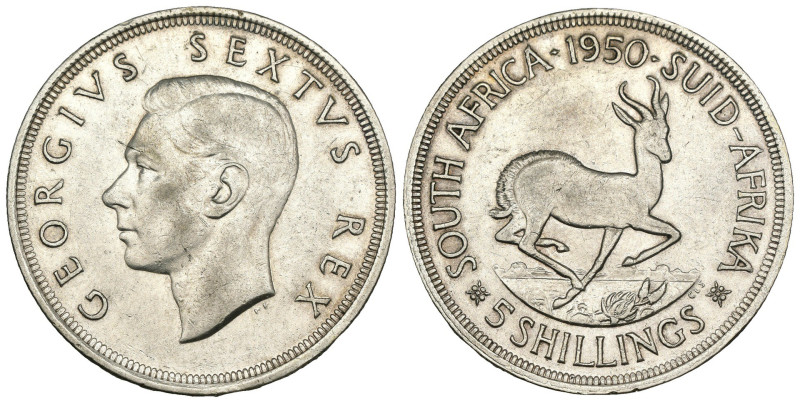 Sud Africa - Giorgio VI (1936-1952) - 5 Shilling 1950 - KM#40.1 - Ag

qSPL

...