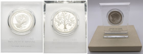 Nazioni Unite - Medaglia per la Pace 1975 - Ag - gr. 24,31; Ø mm 39 - in confezione

FS

SPEDIZIONE IN TUTTO IL MONDO - WORLDWIDE SHIPPING