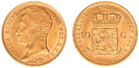 Koninkrijk NL Willem I (1815-1840) - 10 Gulden 1824 U (Sch. 179) - Gold - XF