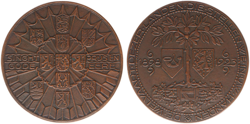 Historiepenningen - 1923 - Medal '25-jarig regeringsjubileum Wilhelmina' by J.J....