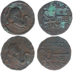 The East - The Indo-Scythian Kingdom - Maues (90-60 BC) - Maues, c. 90-60 BC, round AE, denomination A/B (8.53, 10.01 g.), Elephant head r. / Caduceus...