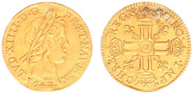 France - Royal (987-1793) - Louis XIV (1643-1715) - ½ Louis d'or à la mèche courte 1644-D (KM148.2, Gad.234, Fr.416) - Obv: Young laureate head right ...