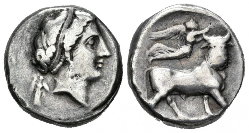 Campania. Neapolis. Didracma-Didrachm. 340-241 a.C. (Cy-134 variante). (Sng Ans-...