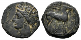 Acuñaciones púnicas en Sicilia. 1/4 calco. s. III a.C. (Cop-109/113). Anv.: Cabeza femenina a izquierda. Rev.: Caballo a derecha, detrás palmera. Ae. ...