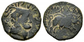 Numidia. Macomada. AE21. 46 a.C. (Gc-6624 variante). (SNG Cop-falta). (Müller-77). Anv.: Cabeza del dios Chusor-Phtah, delante leyenda, detrás estrell...