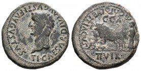 Caesar Augusta. As. 14-36 d.C. Zaragoza. (Abh-361). (Acip-3075). Anv.: Cabeza laureada de Tiberio a izquierda, alrededor TI CAESAR DIVI AVGVSTI F AVGV...