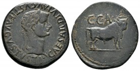 Caesar Augusta. As. 14-36 d.C. Zaragoza. (Abh-367). (Acip-3066). Anv.: Cabeza laureada de tiberio a derecha, alrededor TI CAESAR DIVI AVG F AVGVSTVS. ...