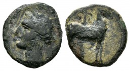 Cartagonova. 1/2 calco. 220-215 a.C. Cartagena (Murcia). (Abh-507). Ae. 2,39 g. BC. Est...20,00.