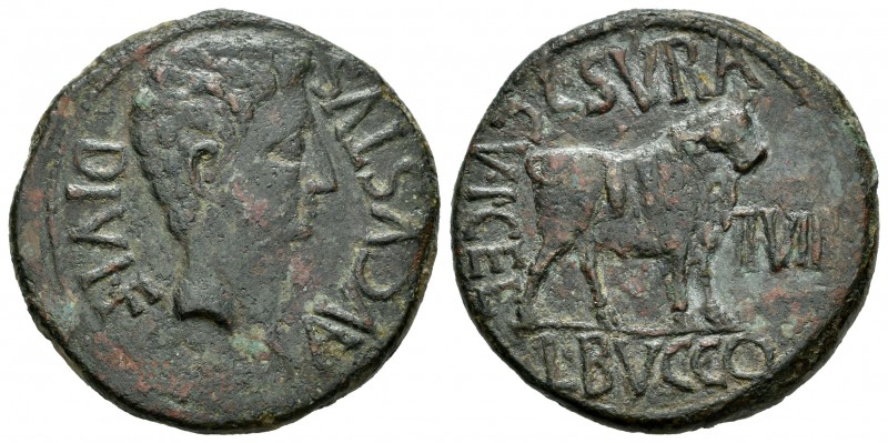 Celsa. As. 27 a.C.-14 d.C. Velilla del Ebro (Zaragoza). (Acip-3162). (Abh-808). ...