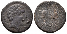 Konterbia Karbika. As. 120-80 a.C. Huete (Cuenca). (Abh-846). Anv.: Cabeza masculina a derecha sin barba, delante delfín, detrás CaRBiCa. Rev.: Jinete...