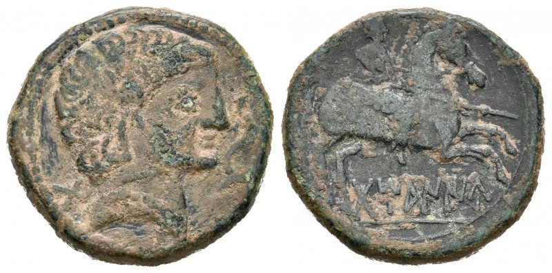 Tamaniu. As. 120-20 a.C. Zona de Aragón. (Abh-890). Anv.: Cabeza masculina a der...