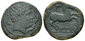 Iltirta. Semis. 220-200 a.C. Lérida. (Acip-1237). (Abh-1462). Anv.: Cabeza masculina a derecha, alrededor tres delfines. Rev.: Caballo a derecha, enci...