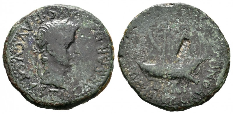 Ilergavonia. As. 14-36 d.C. Dertosa. (Abh-1496). (Acip-3179a). Anv.: Cabeza laur...