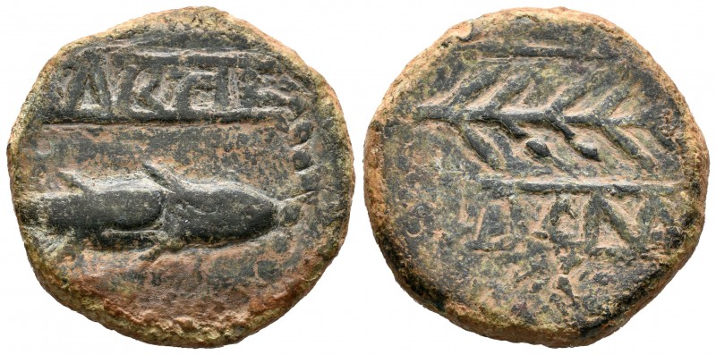 Murtilis. As. 120-50 a.C. Mértola (Portugal). (Abh-1756). (Acip-2349). (C-4). An...