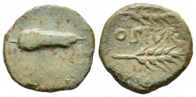 Ostur. Cuadrante. 150-50 a.C. Carmona (Sevilla). (Acip-2431). (Abh-1974). (C-3). Anv.: Bellota a derecha. Rev.: Dos palmas a derecha, entre ellas OSTV...