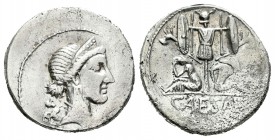 Julio César. Denario-Denarius. 46-45 a.C. Galia. (Ffc-11). (Craw-468/1). (Cal-645). Anv.: Cabeza diademada de Venus a derecha, detrás cupido. Rev.: Tr...