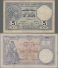 Serbia: Kingdom of Serbia, very nice and high valuable lot with 18 banknotes, comprising 9x 10 Dinara 1893 (P.10, VG up to VF+), 20 Dinara 1905 (P.11,...