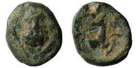 Pisidia. Selge. (2.-1. Century BC). Bronze Æ. Obv: head of Herakles facing. Rev: forepart of stag right. 14mm, 2,52g