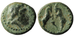 Pisidia. Sagalassos. (100-27 BC) Bronze Æ. Obv: head of Zeus right. Rev: rampant goats. 15mm, 3,22g