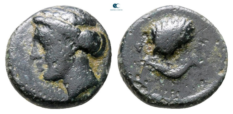 Sicily. Syracuse. Dionysios I 405-367 BC. 
Bronze Æ

11 mm, 1,32 g



Nea...