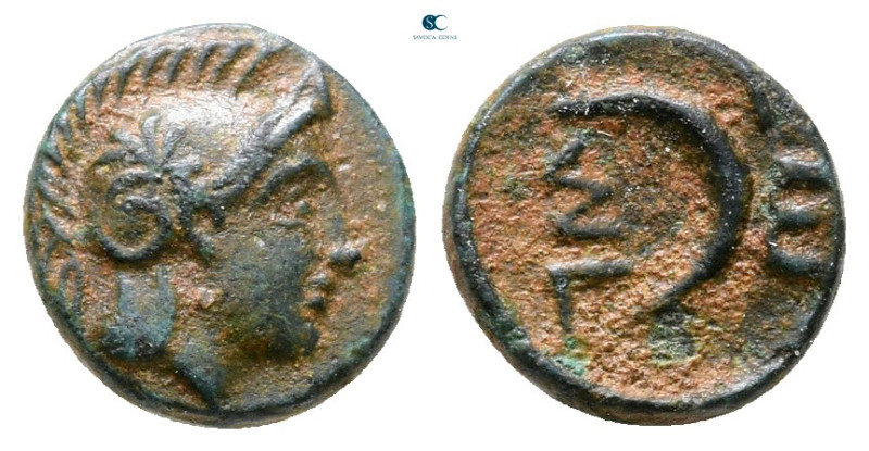 Troas. Sigeion circa 350 BC. 
Bronze Æ

9 mm, 0,92 g



Very Fine