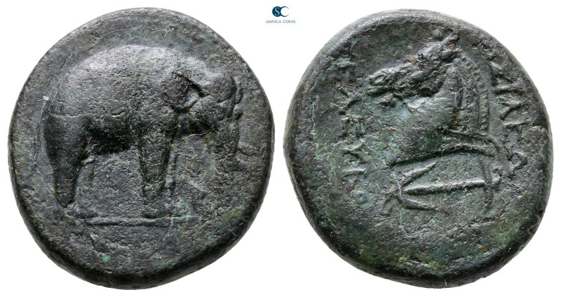 Seleukid Kingdom. Apameia. Seleukos I Nikator 312-281 BC. 
Bronze Æ

20 mm, 7...