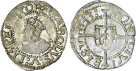 FRANCHE-COMTÉ
Ville de Besançon, Charles-Quint : Demi-carolus d'argent
1543 - SUP 58 (SUP)
Très Rare en l'état !!


B 1295, DF 3039 & 3041, P 12...