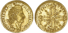 LOUIS XIV le Grand (1643-1715)
Louis d'or aux 8 L et aux insignes
.... D - SPL 60 (SUP+)
Réformation de faussaire - Rare !


DR 247, D 1443-1443...