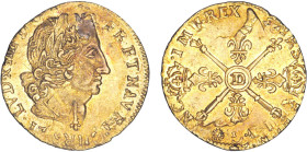 LOUIS XIV le Grand (1643-1715)
Louis d'or aux insignes
17.. D - TTB 45 (TTB++)
Réformation de faussaire - Rare !


DR 251, D 1446-1446a, GR 254,...