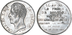 5 FRANCS
5 FRANCS (module de) Charles X, Prince de Salerne & Duchesse de Berry
1825 a) - SPL 60 (SUP+)
Argent - Très Rare !!, légère oxyd.


G 6...