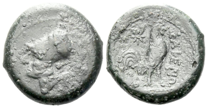 Campania , Cales Bronze circa 265-240, Æ 19.00 mm., 6.74 g.
Head of Athena l., ...