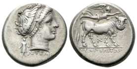 Campania , Neapolis Didrachm circa 300-275