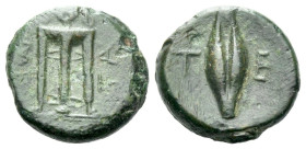 Lucania, Metapontum Bronze Last quarter V to mid IV century BC